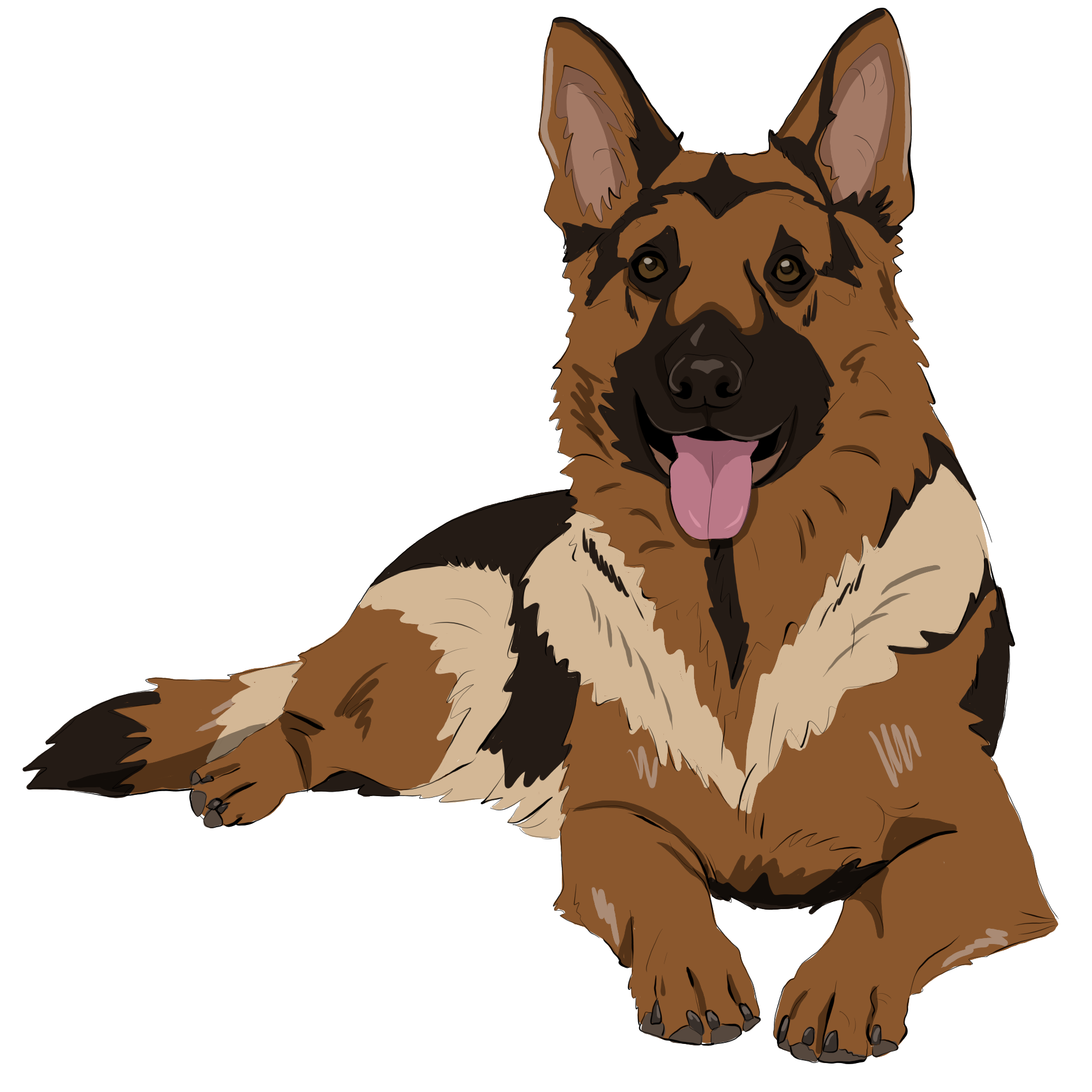 08 | Spürhundesport (SHS)